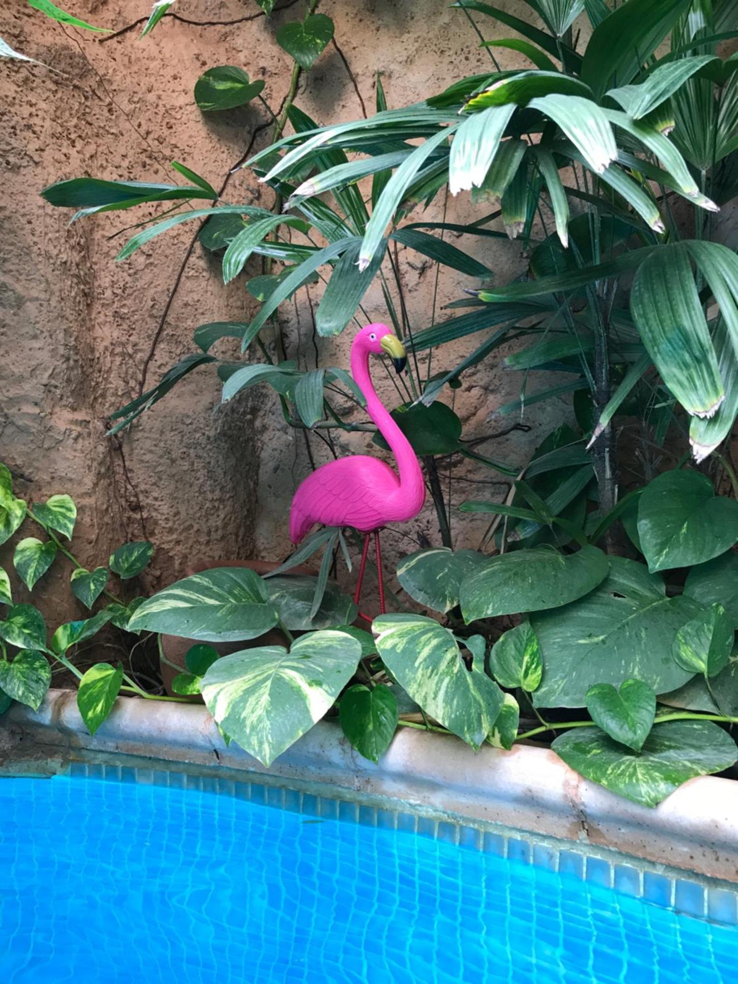 Tropical Oasis Apartment Ouakam Bagian luar foto