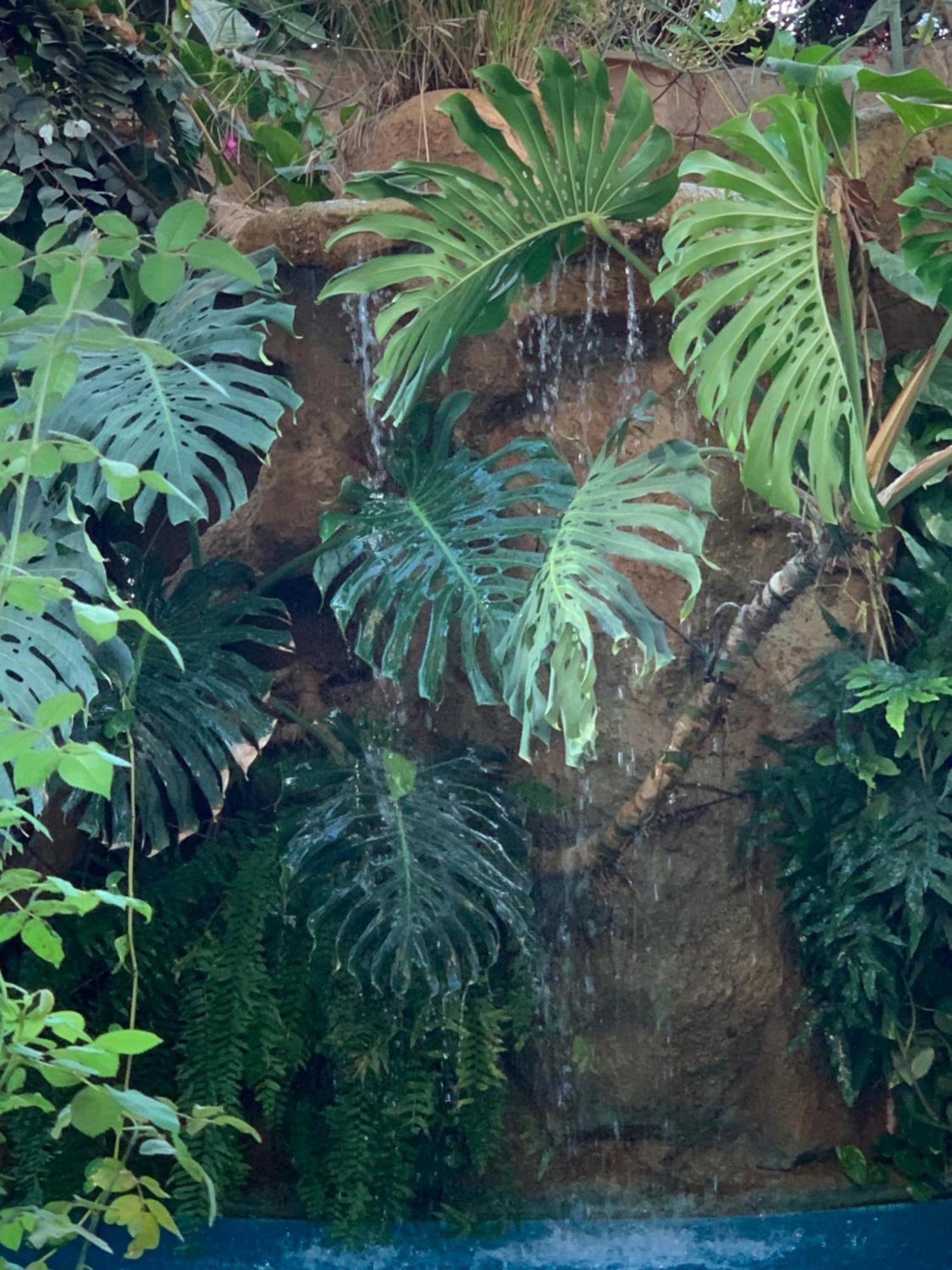 Tropical Oasis Apartment Ouakam Bagian luar foto